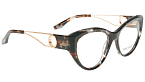 Оправы -  Trussardi TSW6056 G21 (+) - 1