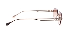 Солнцезащитные очки -  Carolina Lemke CL3545 2 (+) - 2