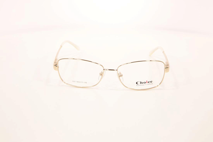 Оправы -  Choice 531-01 - 1
