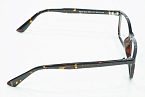 Оправы -  Sheer Moon 8431 C11 - 2