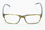 Оправы -  Ted Baker Principle 8097-105 (+) - 0