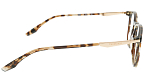 Оправы -  Trussardi TSM6007 C01 (+) - 2