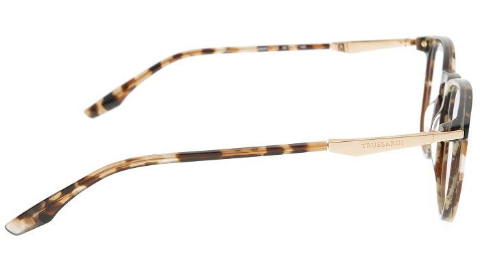 Оправы -  Trussardi TSM6007 C01 (+) - 2