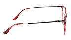 Оправы -  Hermossa HMO 498 C4 50 (+) - 2