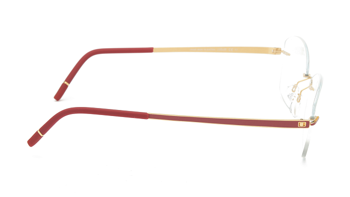 Оправы -  Silhouette Momentum 5529 HD-3020 53/17 (+) - 2
