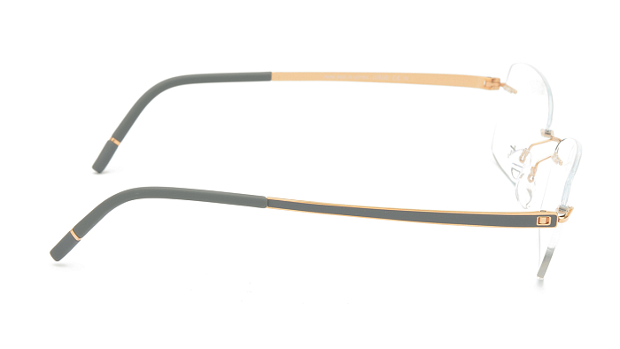 Оправы -  Silhouette Momentum 5529 HC-6520 52/19 (+) - 2